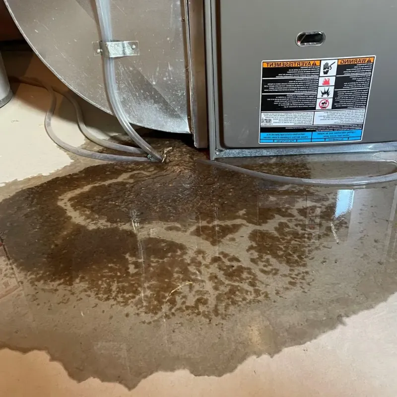 Pipe Burst and Leak Restoration in Grandyle Village, NY